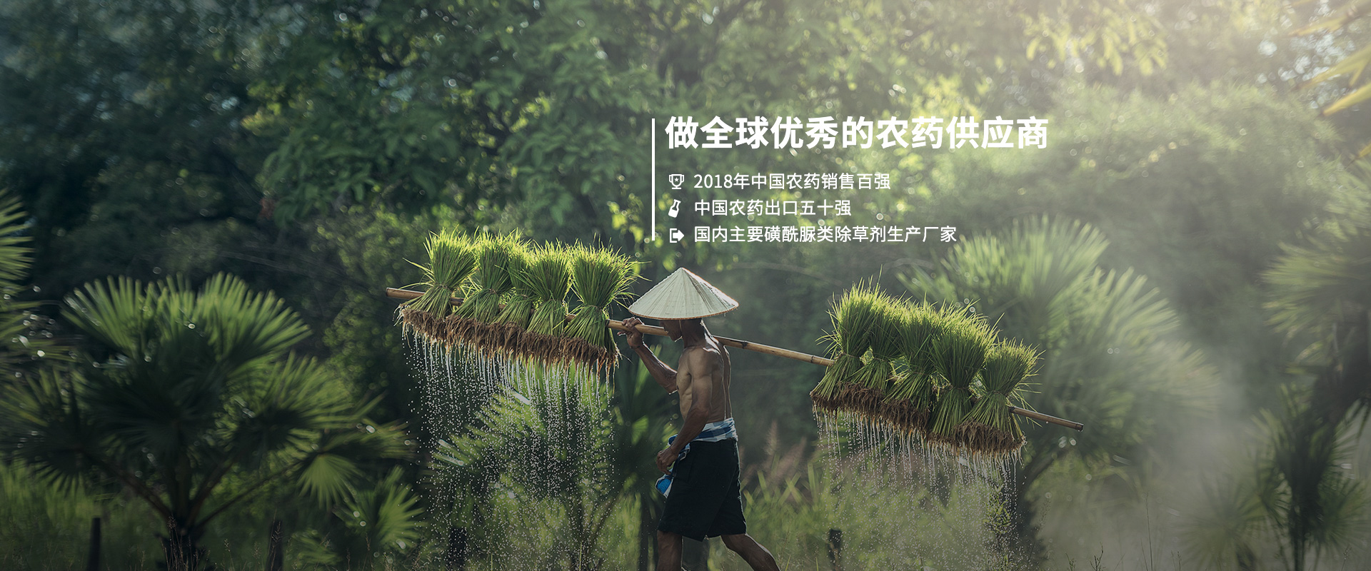 做全球優秀的農藥供應商